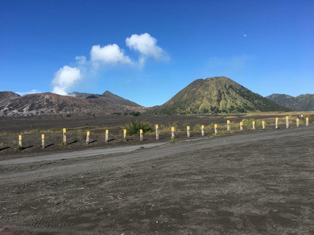 Bromo Deddy Homestay Extérieur photo
