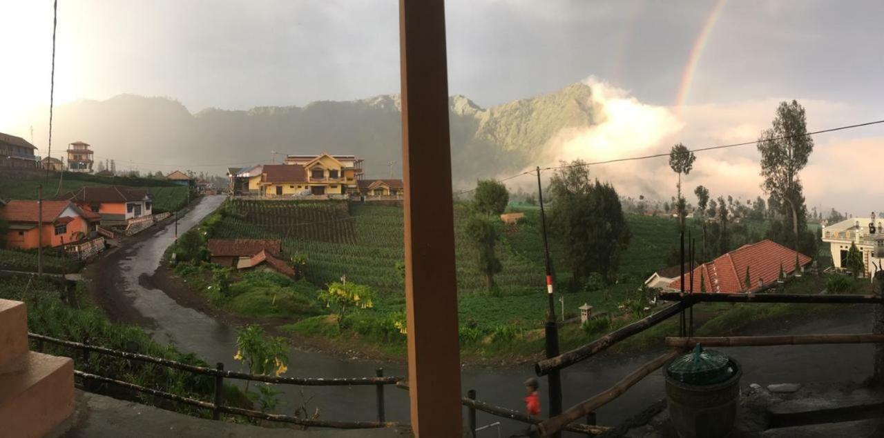 Bromo Deddy Homestay Extérieur photo